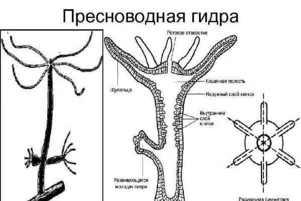 Что такое кракен сайт в россии