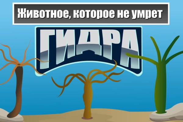 Кракен мониторинг ссылок kraken torion